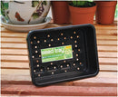 Seed Tray, small with drain holes