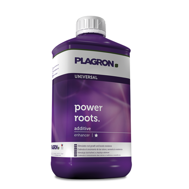 Plagron Power Roots, 100ml